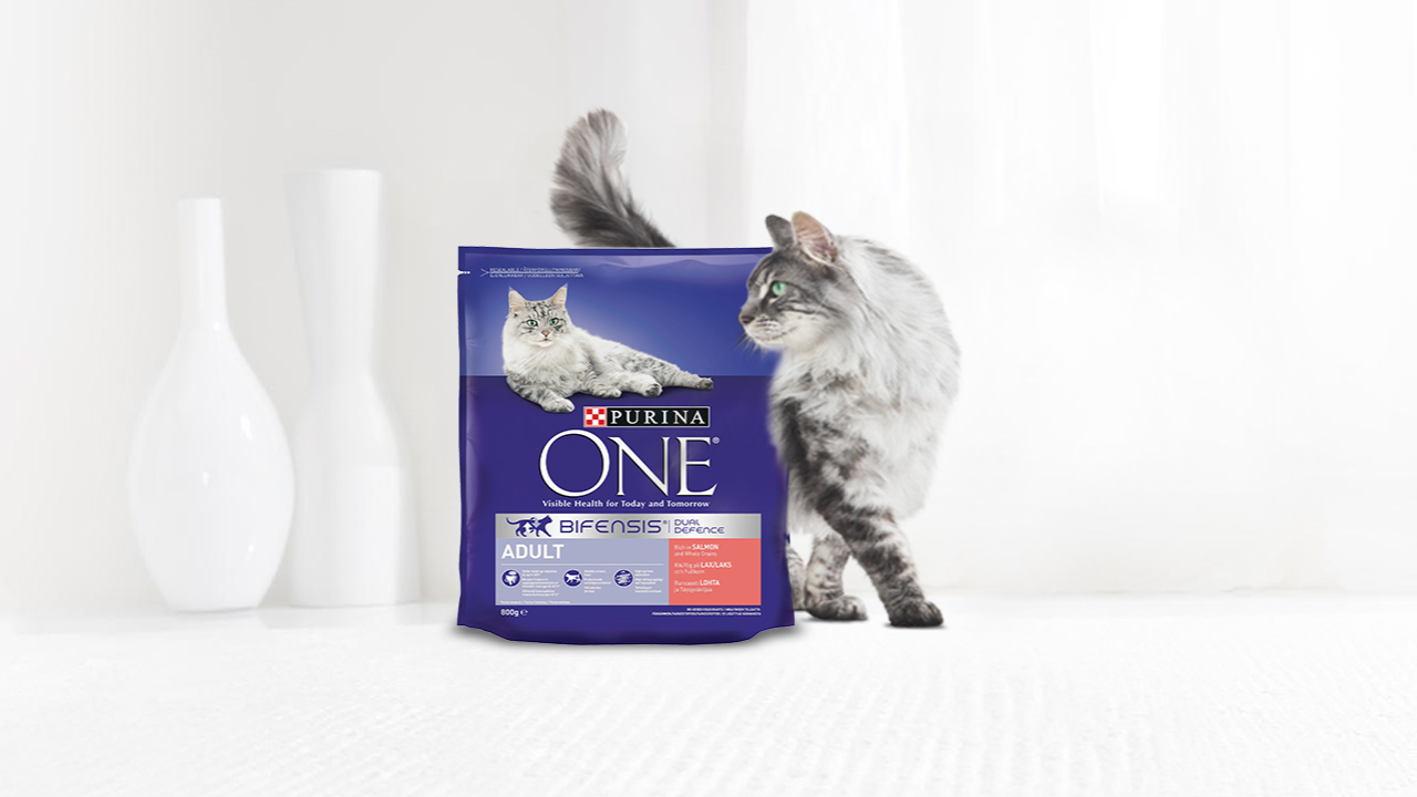 Purina ONE