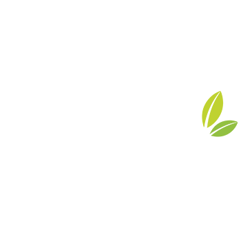 Seeberger