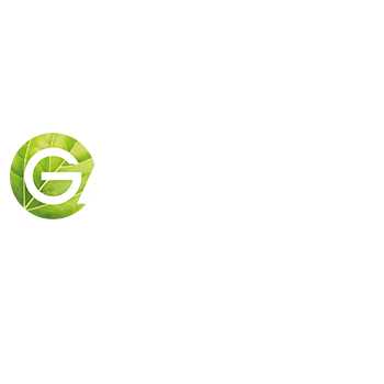 Garnier PureActive