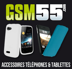 GSM 55